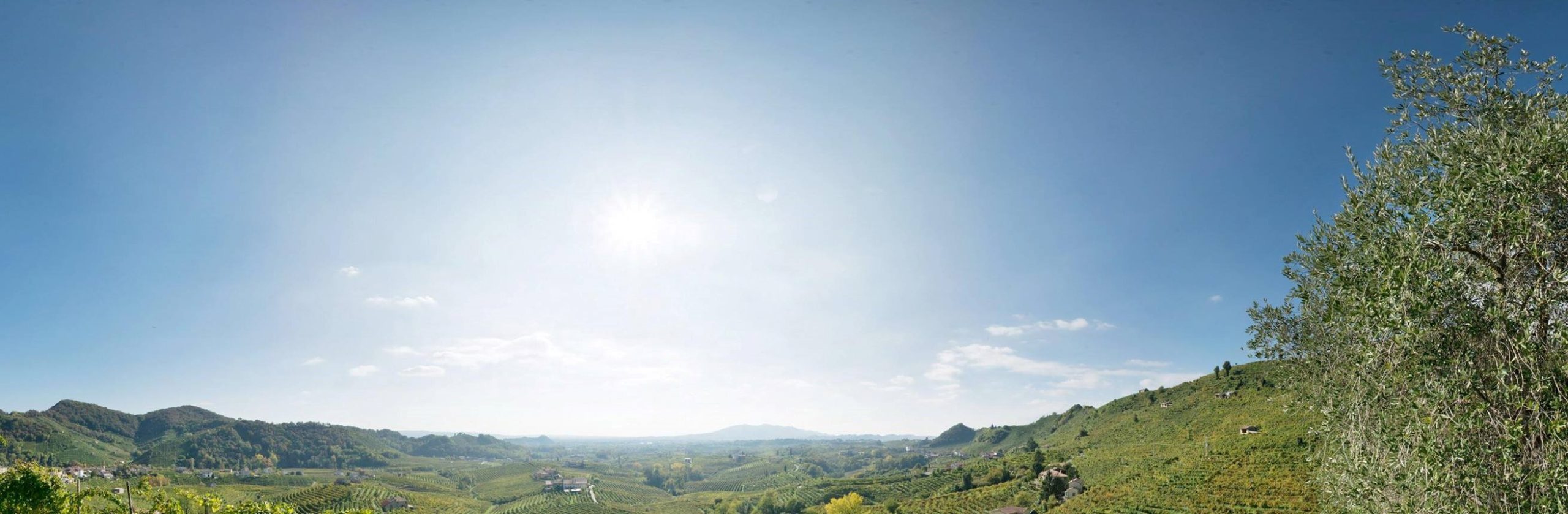 cartizze prosecco